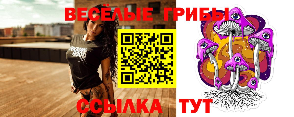 Псилоцибиновые грибы ЛСД  Галлюциногенные грибы Psilocybe  Миллерово  Вход с VPN 